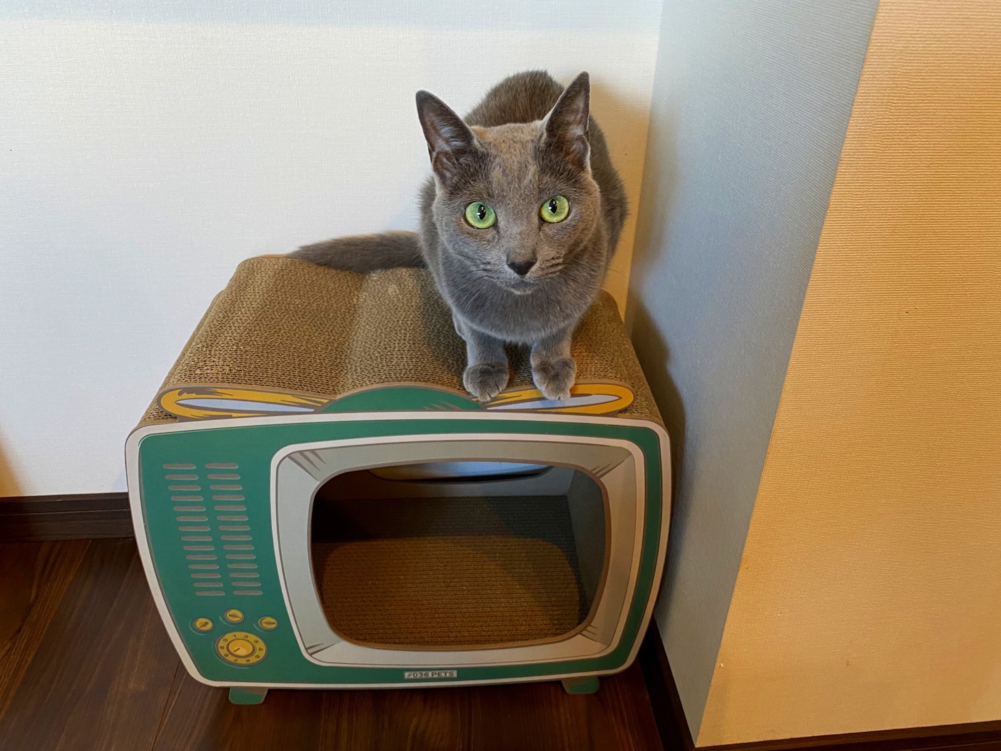 ゴルフと車、どちらも譲れませんでした!