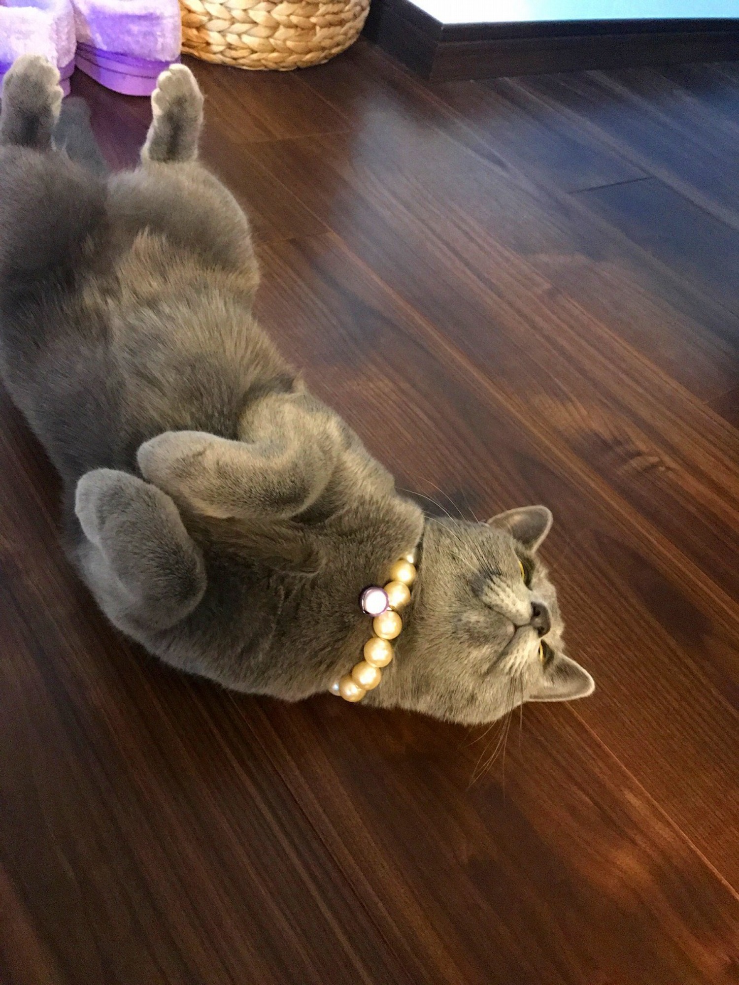 希少地で成功しました!